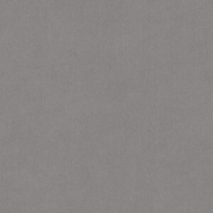 Wibalin Light Grey 541