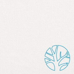 Buckram Light White 12401